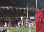 SX32259 Rugby Wales vs Tonga.jpg